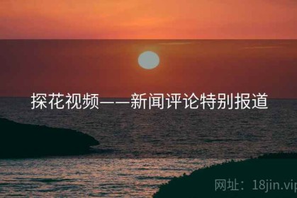 探花视频——新闻评论特别报道