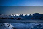 深度报道：探花精选