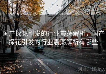 国产探花引发的行业震荡解析，国产探花引发的行业震荡解析有哪些