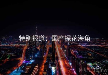 特别报道：国产探花海角