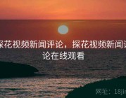 探花视频新闻评论，探花视频新闻评论在线观看