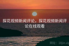 探花视频新闻评论，探花视频新闻评论在线观看