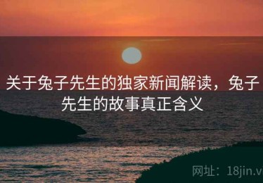 关于兔子先生的独家新闻解读，兔子先生的故事真正含义