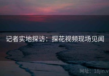 记者实地探访：探花视频现场见闻