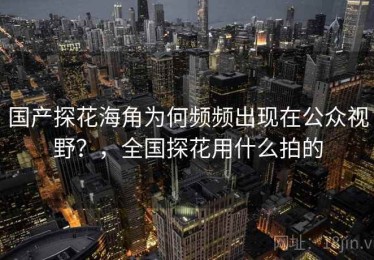 国产探花海角为何频频出现在公众视野？，全国探花用什么拍的