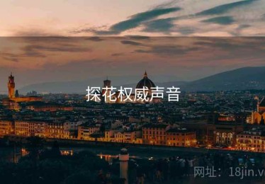 探花权威声音