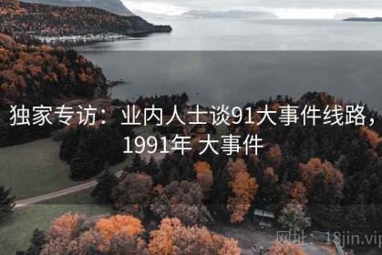 独家专访：业内人士谈91大事件线路，1991年 大事件