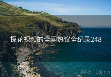 探花视频的全网热议全纪录248