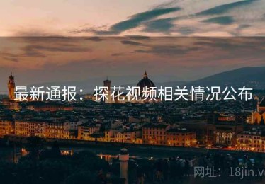 最新通报：探花视频相关情况公布