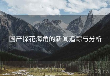 国产探花海角的新闻追踪与分析