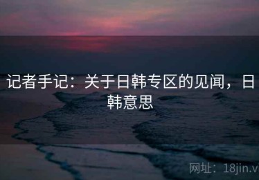 记者手记：关于日韩专区的见闻，日韩意思