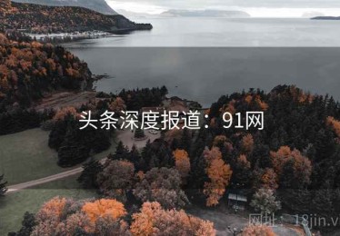头条深度报道：91网