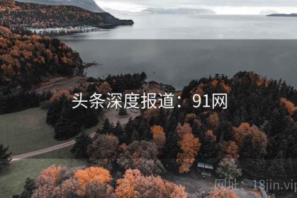 头条深度报道：91网
