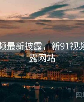 新91视频最新披露，新91视频最新披露网站