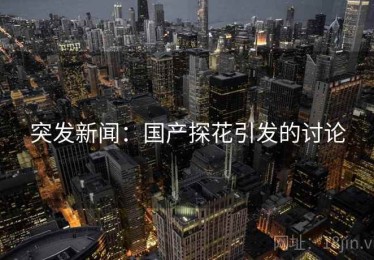 突发新闻：国产探花引发的讨论