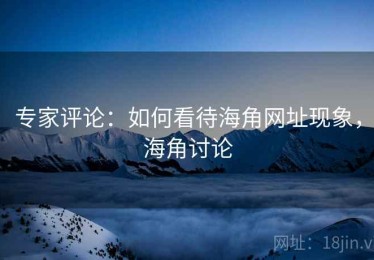 专家评论：如何看待海角网址现象，海角讨论
