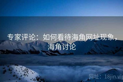 专家评论：如何看待海角网址现象，海角讨论