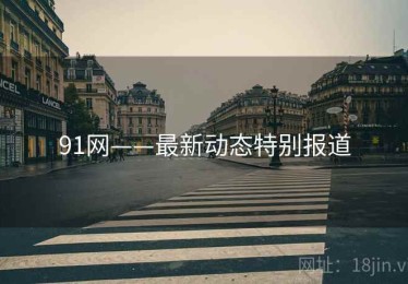 91网——最新动态特别报道