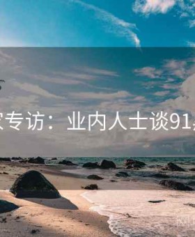 独家专访：业内人士谈91黑料