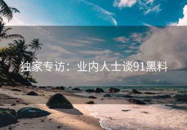 独家专访：业内人士谈91黑料