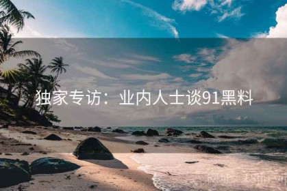 独家专访：业内人士谈91黑料