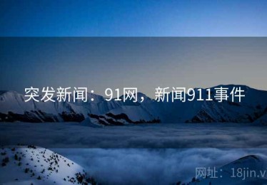 突发新闻：91网，新闻911事件