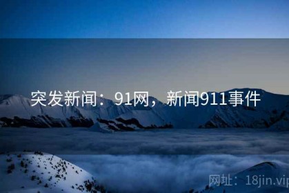 突发新闻：91网，新闻911事件