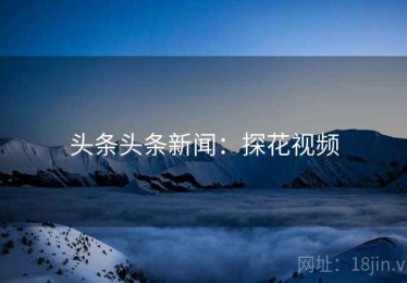 头条头条新闻：探花视频