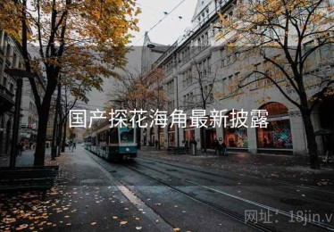 国产探花海角最新披露