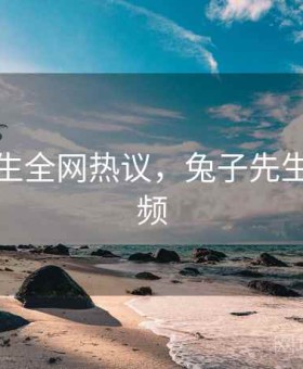 兔子先生全网热议，兔子先生原著视频