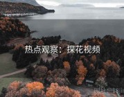 热点观察：探花视频