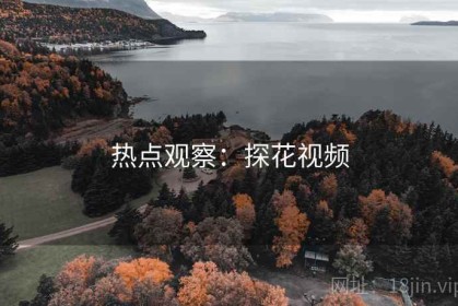 热点观察：探花视频