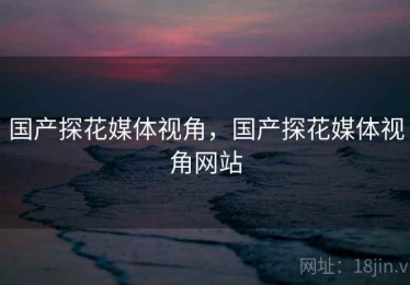 国产探花媒体视角，国产探花媒体视角网站