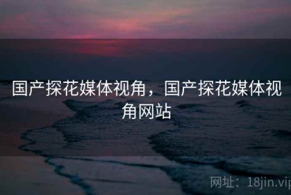 国产探花媒体视角，国产探花媒体视角网站