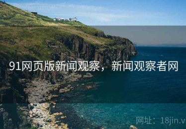 91网页版新闻观察，新闻观察者网
