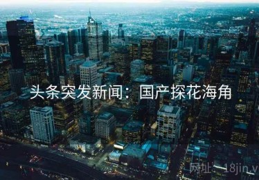 头条突发新闻：国产探花海角