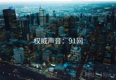 权威声音：91网