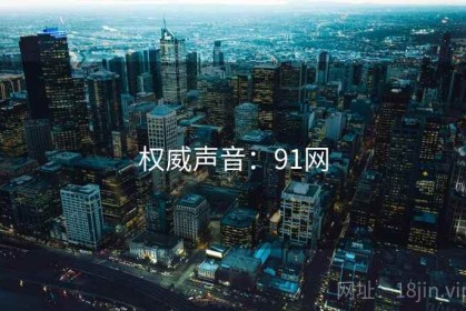 权威声音：91网