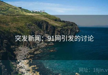 突发新闻：91网引发的讨论