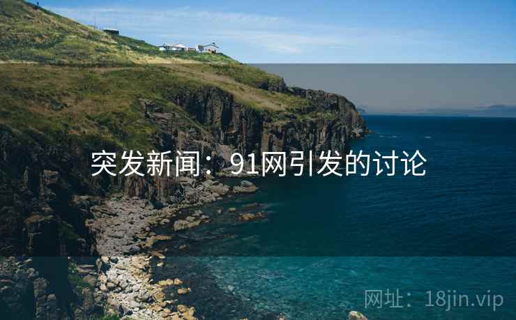 突发新闻：91网引发的讨论