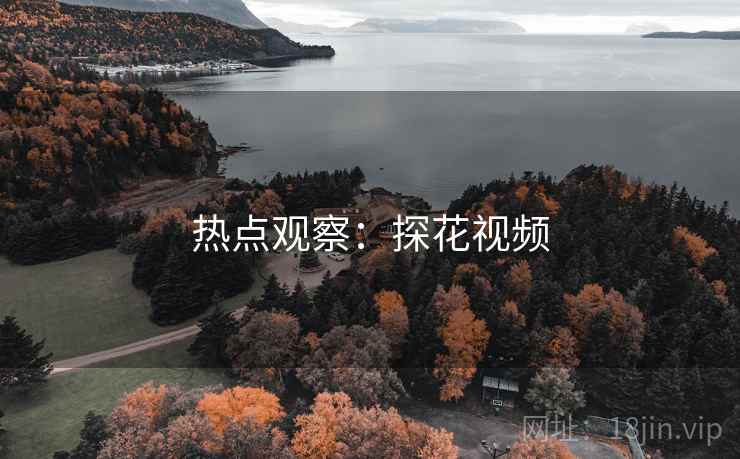 热点观察：探花视频