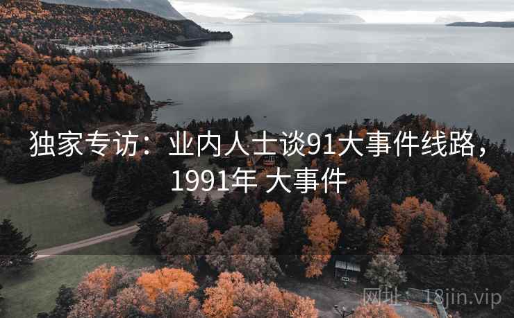 独家专访：业内人士谈91大事件线路，1991年 大事件