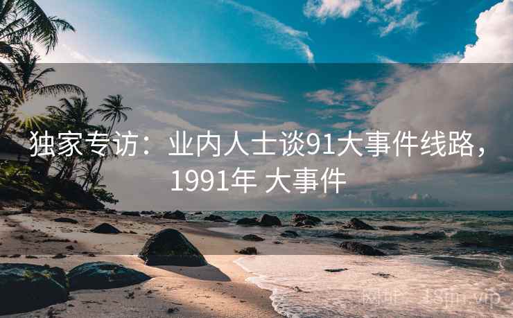 独家专访：业内人士谈91大事件线路，1991年 大事件