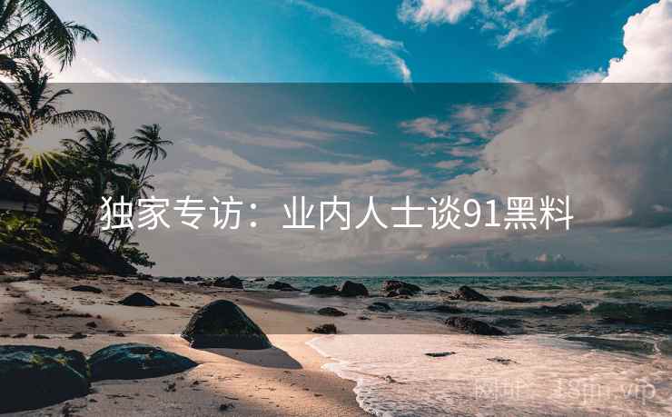 独家专访：业内人士谈91黑料