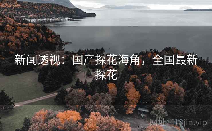 新闻透视：国产探花海角，全国最新探花