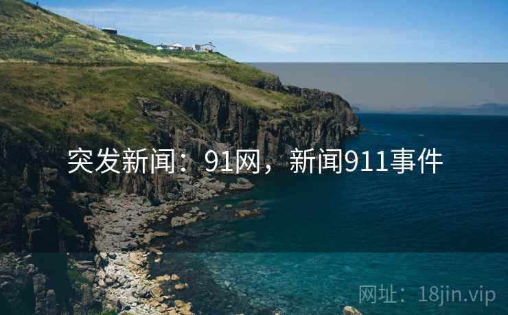 突发新闻：91网，新闻911事件
