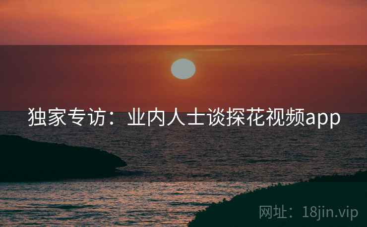 独家专访：业内人士谈探花视频app