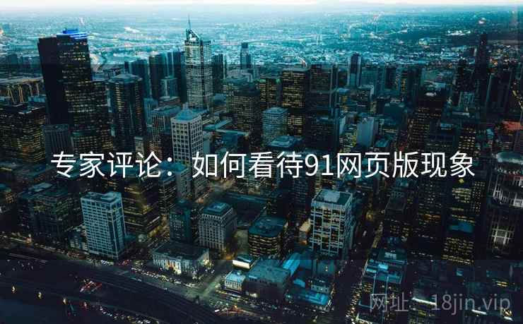 专家评论：如何看待91网页版现象