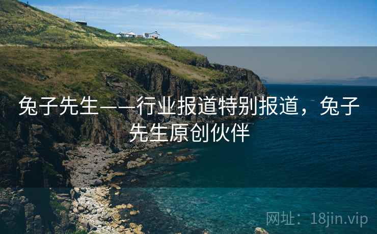 兔子先生——行业报道特别报道，兔子先生原创伙伴