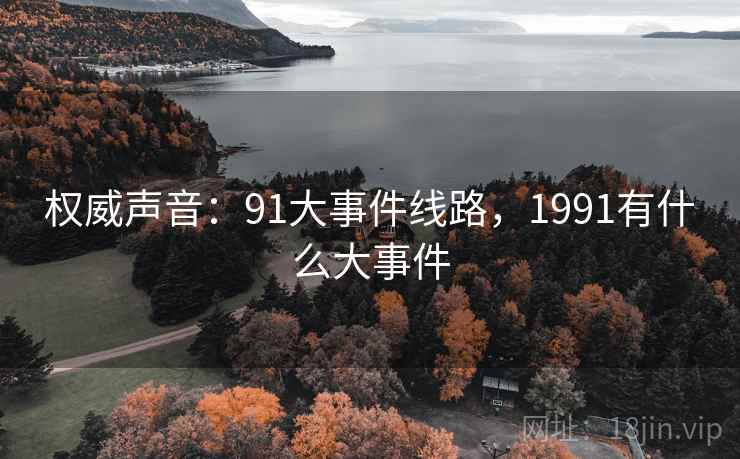 权威声音：91大事件线路，1991有什么大事件